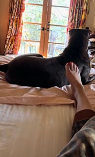 Drea de Matteo feet photo 3