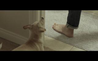 Dree Hemingway feet photo 11
