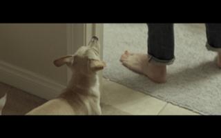 Dree Hemingway feet photo 10