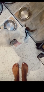 Dunja Jovanić feet photo 5
