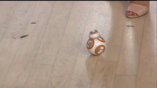 Dylan Dreyer feet photo thumbnail