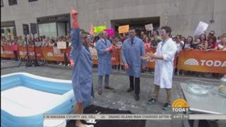 Dylan Dreyer feet photo thumbnail