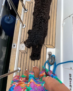 Dânia Neto feet photo 15