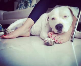 Débora Nascimento feet photo thumbnail