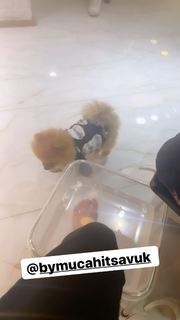 Ebru Polat feet photo 9