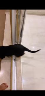 Ebru Polat feet photo 16
