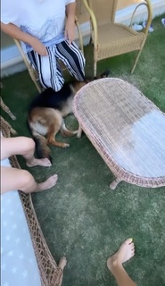 Ebru Polat feet photo 2