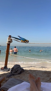 Ece Erken feet photo thumbnail