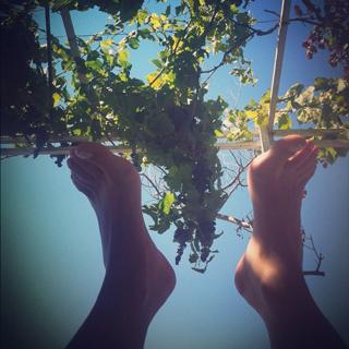 Ece Uslu feet photo 1