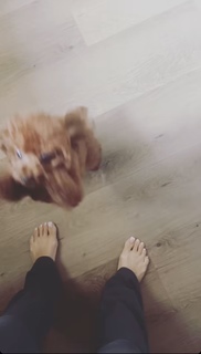 Eden Fines feet photo 4
