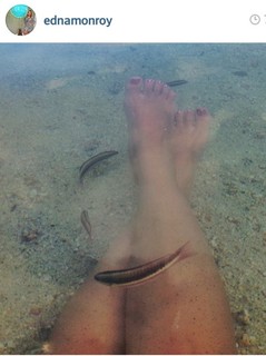 Edna Monroy feet photo 13
