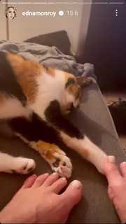 Edna Monroy feet photo 15