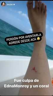 Edna Monroy feet photo 11