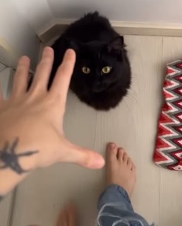 Eduarda Hippier feet photo thumbnail