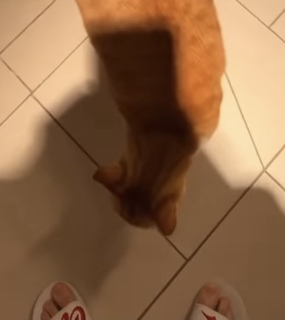 Eduarda Hippier feet photo thumbnail