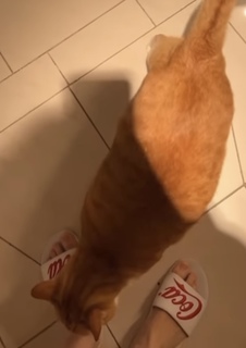 Eduarda Hippier feet photo thumbnail