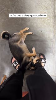 Eduarda Hippier feet photo thumbnail