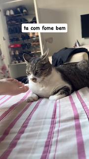 Eduarda Hippier feet photo thumbnail