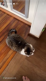 Eduarda Hippier feet photo thumbnail