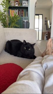 Eduarda Hippier feet photo thumbnail