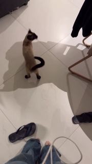 Eduarda Hippier feet photo thumbnail