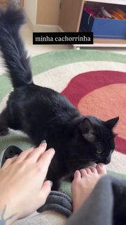 Eduarda Hippier feet photo thumbnail