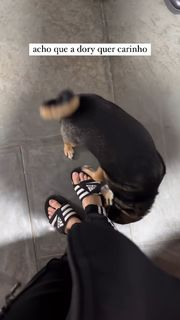Eduarda Hippler feet photo 4