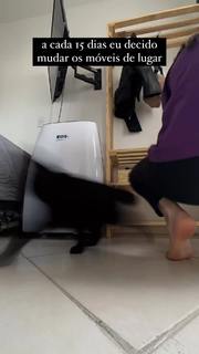 Eduarda Hippler feet photo 13