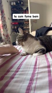 Eduarda Hippler feet photo 13