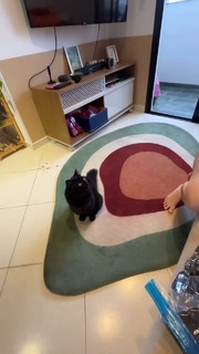 Eduarda Hippler feet photo 4