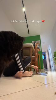 Eduarda Hippler feet photo 1