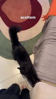 Eduarda Hippler feet photo 9