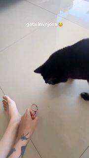 Eduarda Hippler feet photo 6
