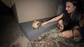 Eduarda Hippler feet photo 11