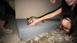 Eduarda Hippler feet photo 10