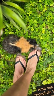 Eileen Abad feet photo 12