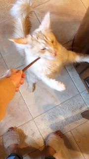 Ekaterina Kuznetsova feet photo thumbnail