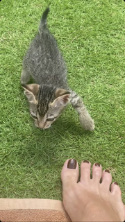 Ekaterina Kuznetsova feet photo thumbnail