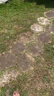 Ekaterina Kuznetsova feet photo thumbnail