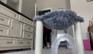 Elaina Keyes feet photo thumbnail