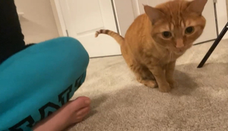 Elaina Keyes feet photo thumbnail