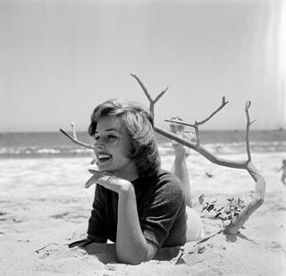 Elaine Stewart feet photo 11