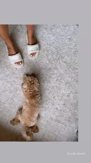 Elarica Gallacher feet photo 19