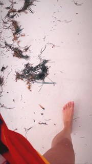 Elarica Gallacher feet photo 11