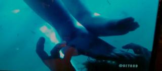 Eleanor Tomlinson feet photo thumbnail