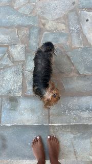 Eleftheria Eleftheriou feet photo thumbnail