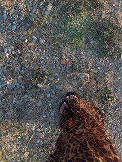 Eleftheria Eleftheriou feet photo thumbnail