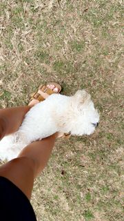 Elena Arenas feet photo 19
