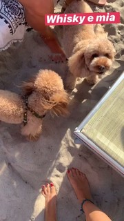 Elena Barolo feet photo thumbnail