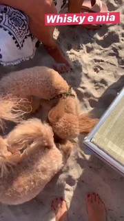 Elena Barolo feet photo thumbnail